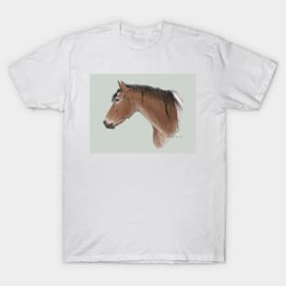 Pinto Horse T-Shirt